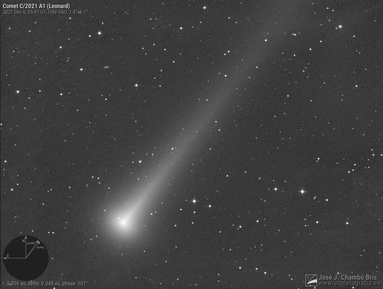 C/2021 A1 Leonard