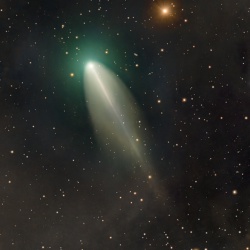 220P/McNaught [2026]