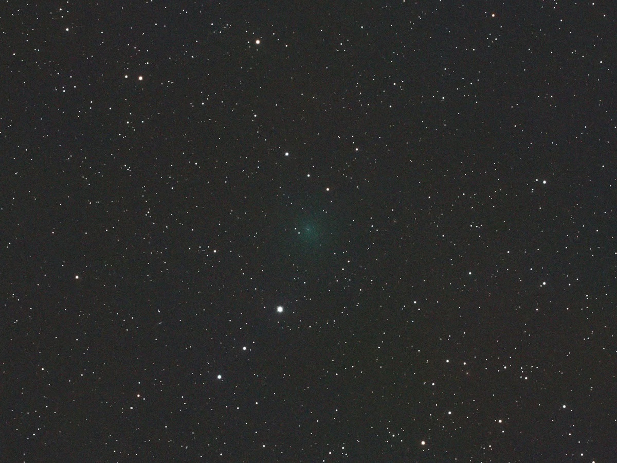 Cometa 169P/NEAT